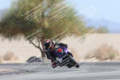 media/Oct-13-2025-Moto Forza (Mon) [[a66d839500]]/3-B Group/Session 4 Turn 4 Tree of Life/